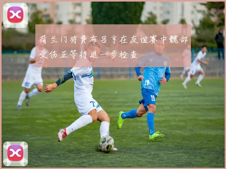 荷兰门将费布吕亨在友谊赛中髋部受伤正等待进一步检查