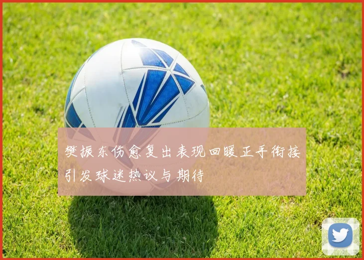 樊振东伤愈复出表现回暖正手衔接引发球迷热议与期待